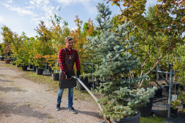 Best Tree Trimming and Pruning  in Port St Joe, FL